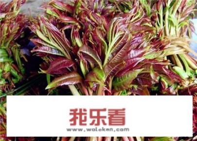 香椿炖豆腐怎么做好吃？