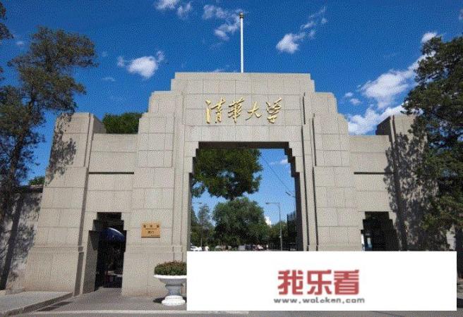 tf家族分别毕业于哪所大学？