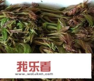 野菜的名称外形用途和烹煮方式？