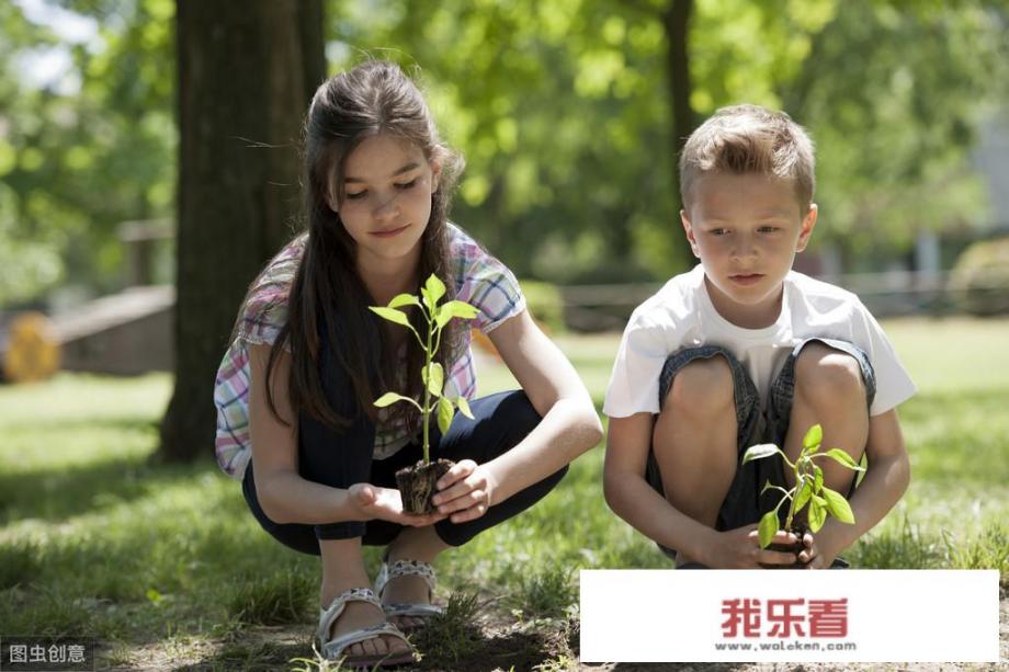 有点多动，怎样能专心学习呢？