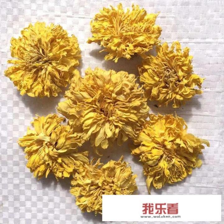 河南焦作首富是谁？