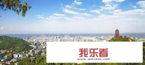 上海市松江区与眉山市仁寿县哪个面积较大些？