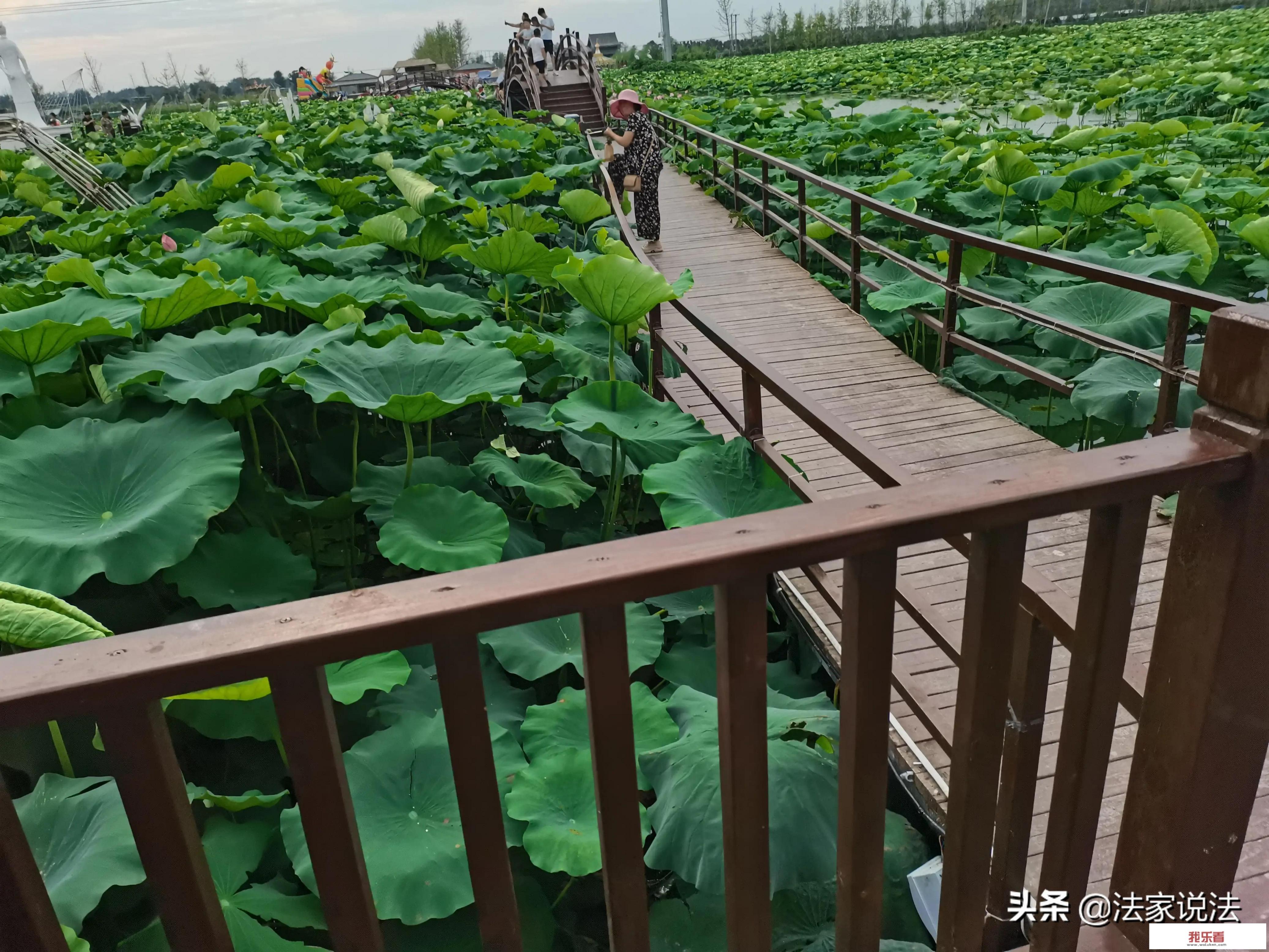 重庆大学测控技术与仪器就业怎样？