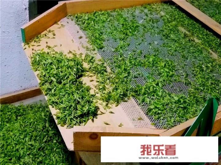 喝100元以内一斤的茶是什么感觉？