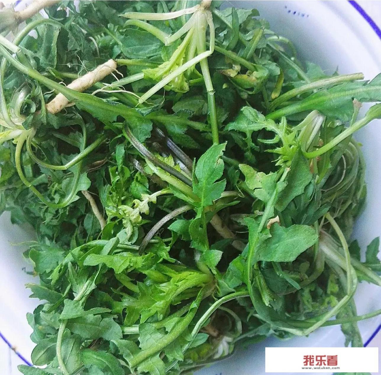 荠菜10种做法？