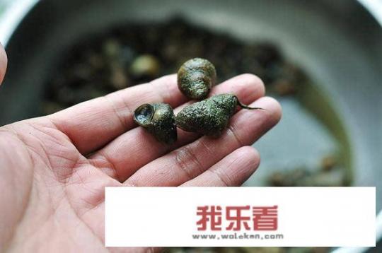 河南工业大学和河南科技大学是几本？