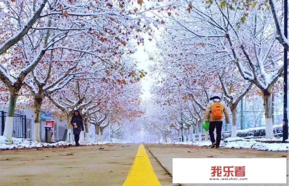 广西中医药大学赛恩斯新医学院什么瓜？