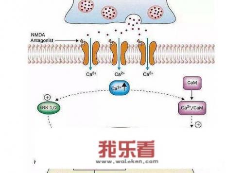 低脂牛奶适合孩子喝吗？