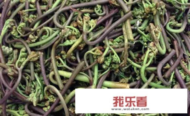 爆炒蕨菜的做法？