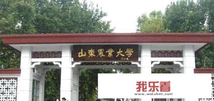 山东农业大学，山东理工大学，齐鲁工业大学三所高校的专业就业前景如何？