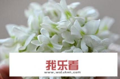 炒槐花热量？