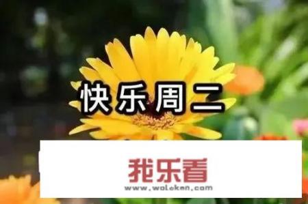 有个60岁大学男老师，突然从前段时间开始每天早上给我发早上好的照片，该怎么办？