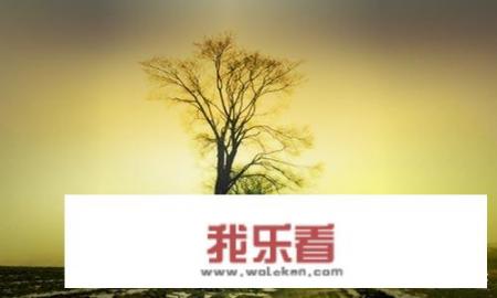 为什么人在梦中哭泣会把自己哭醒？为什么有时候甚至醒了发现自己已经流泪了？