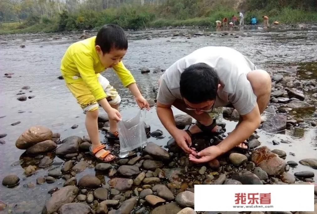 我们农村的人去打螺蛳，田螺如何挣钱？