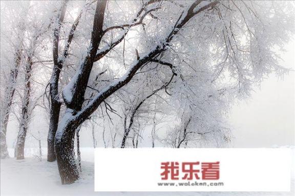 体质中的湿气和寒气有何不同？吃阿胶合适吗？