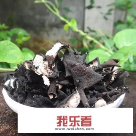 岩耳与木耳哪个好？