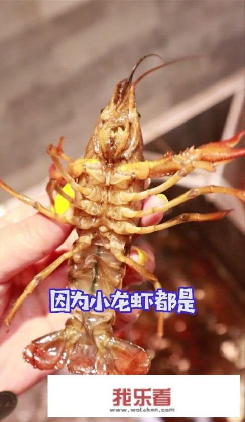 小龙虾如何做好吃？有没有视频可以分享，文字步骤就算了哈？