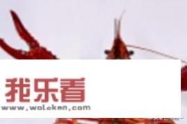 龙虾怎么养殖方法？