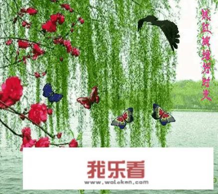 打死蛇有什么后果吗？