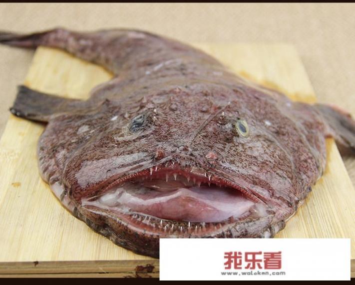 体型特别的鱼图片与名字？