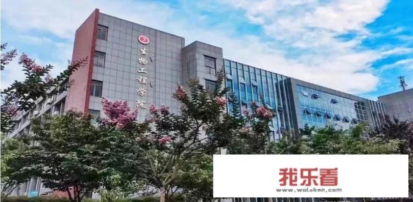 安徽一共有多少个大专？