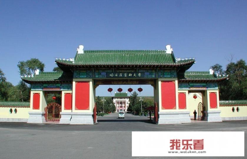哈医大是211还是985？