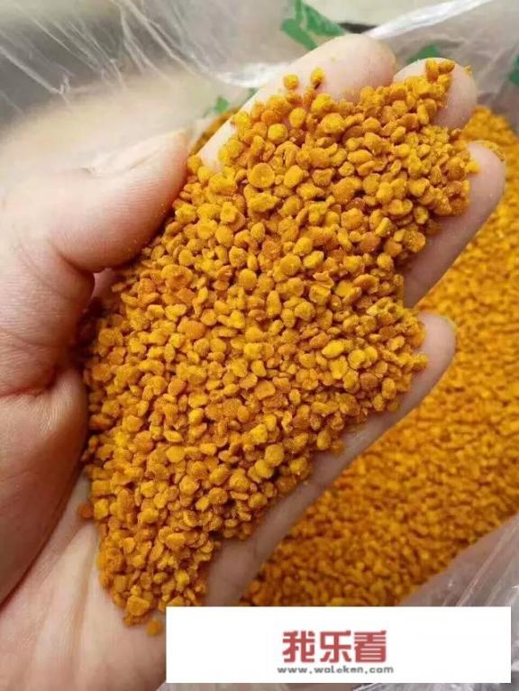 美盾蜂花粉的用途？