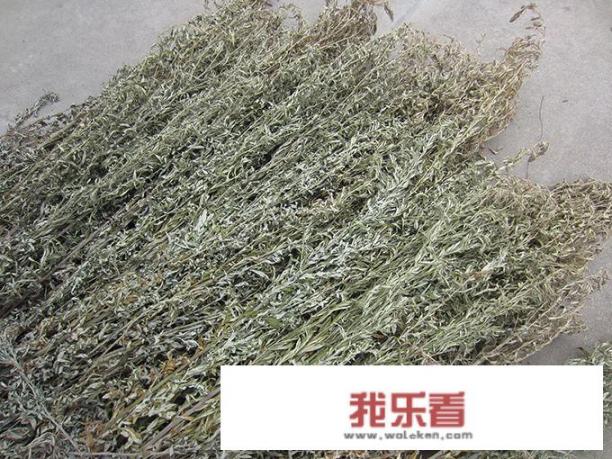 艾叶晾干的正确方法？