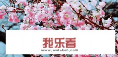 大一新生开学感悟？