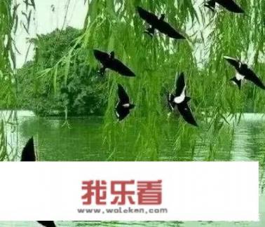 魔兽世界继续寻根任务怎么做？