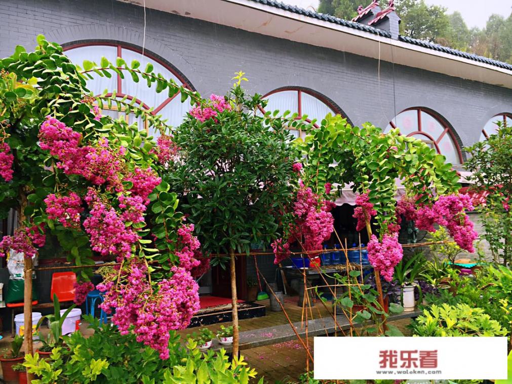 招生老师职业规划怎么写？