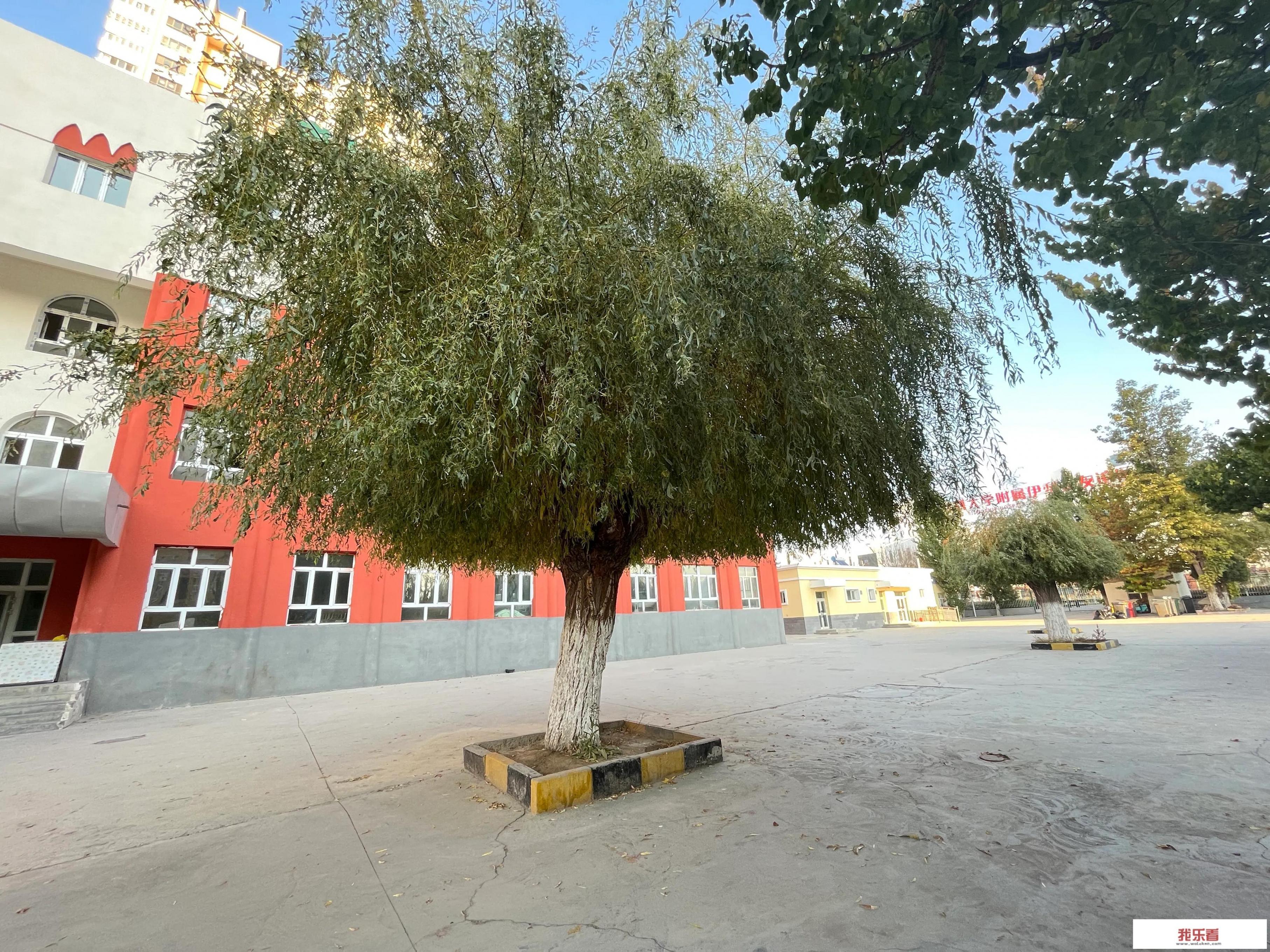 为什么那么多大学生在混日子，他不担心未来吗？