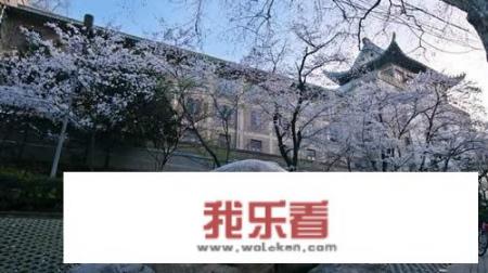 经济管理，武大和南大哪个好？