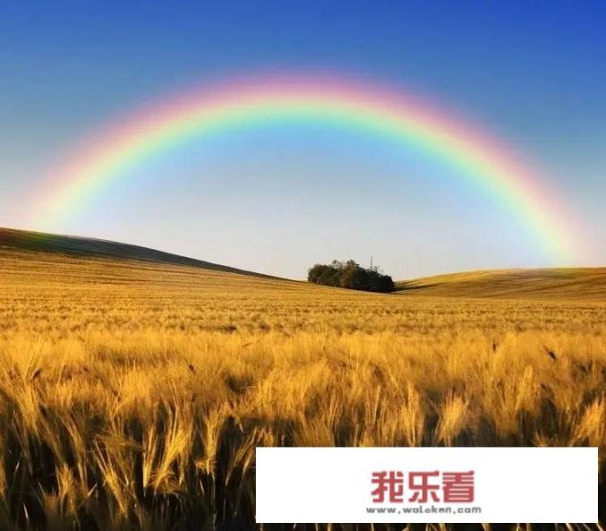 无锡个人小冷库出租费用？