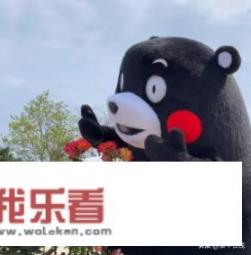 为什么没人推荐伦敦玛丽女王大学？