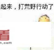 荒野行动百科？