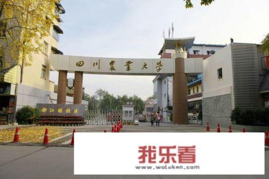 四川农业大学都江堰校区学生人数？
