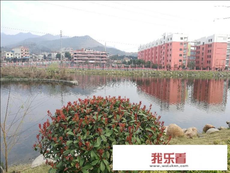 有什么双人游戏？
