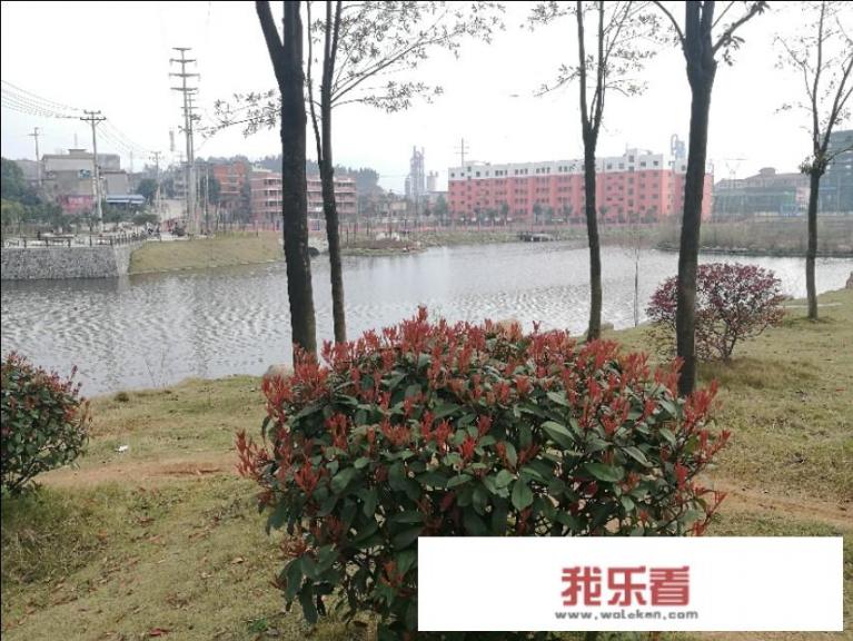 有什么双人游戏？
