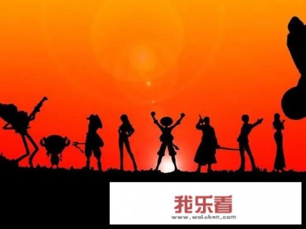 海贼王什么意思？