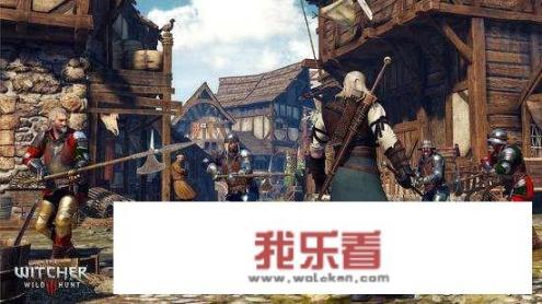 巫师三版本？