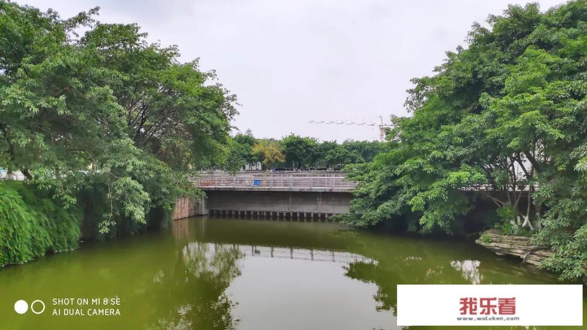 四川大学全国排名第8，有人质疑：还是超一流名校吗，你怎么看？