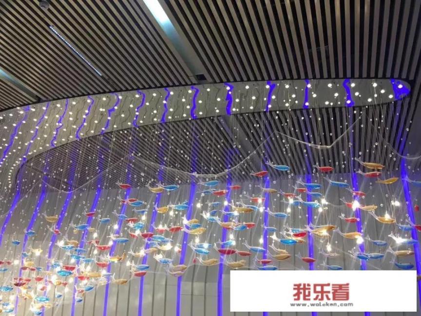 你觉得学生的学习压力大吗？为什么？