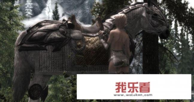 玩《上古卷轴5》时怎样用mod比较全？资深玩家对此有哪些建议？