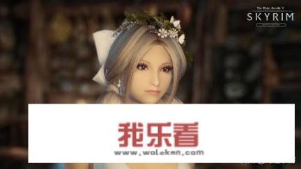 玩《上古卷轴5》时怎样用mod比较全？资深玩家对此有哪些建议？