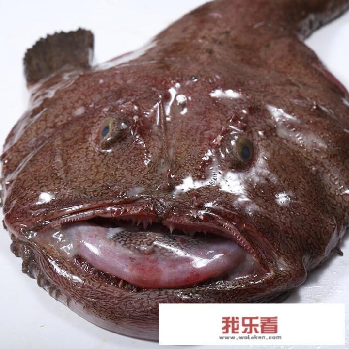 海鱼的种类图片和名字？