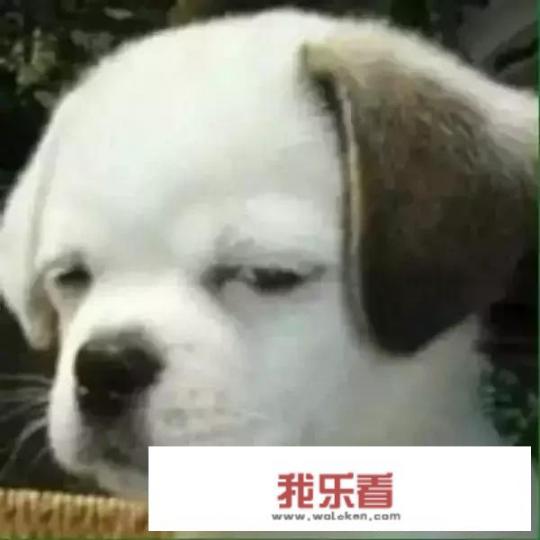 华为手机如何开启怼人模式？