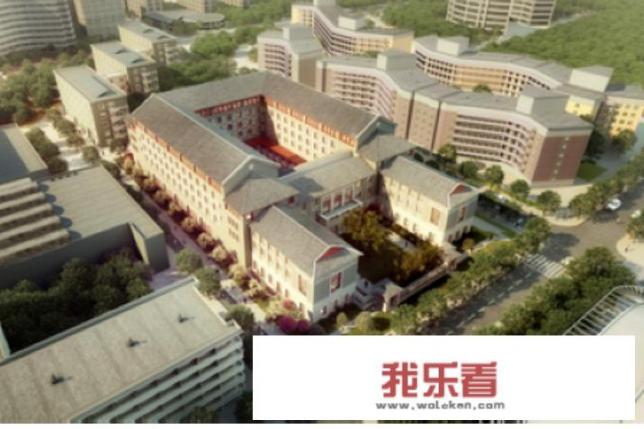 清华大学苏世民书院是什么专业？