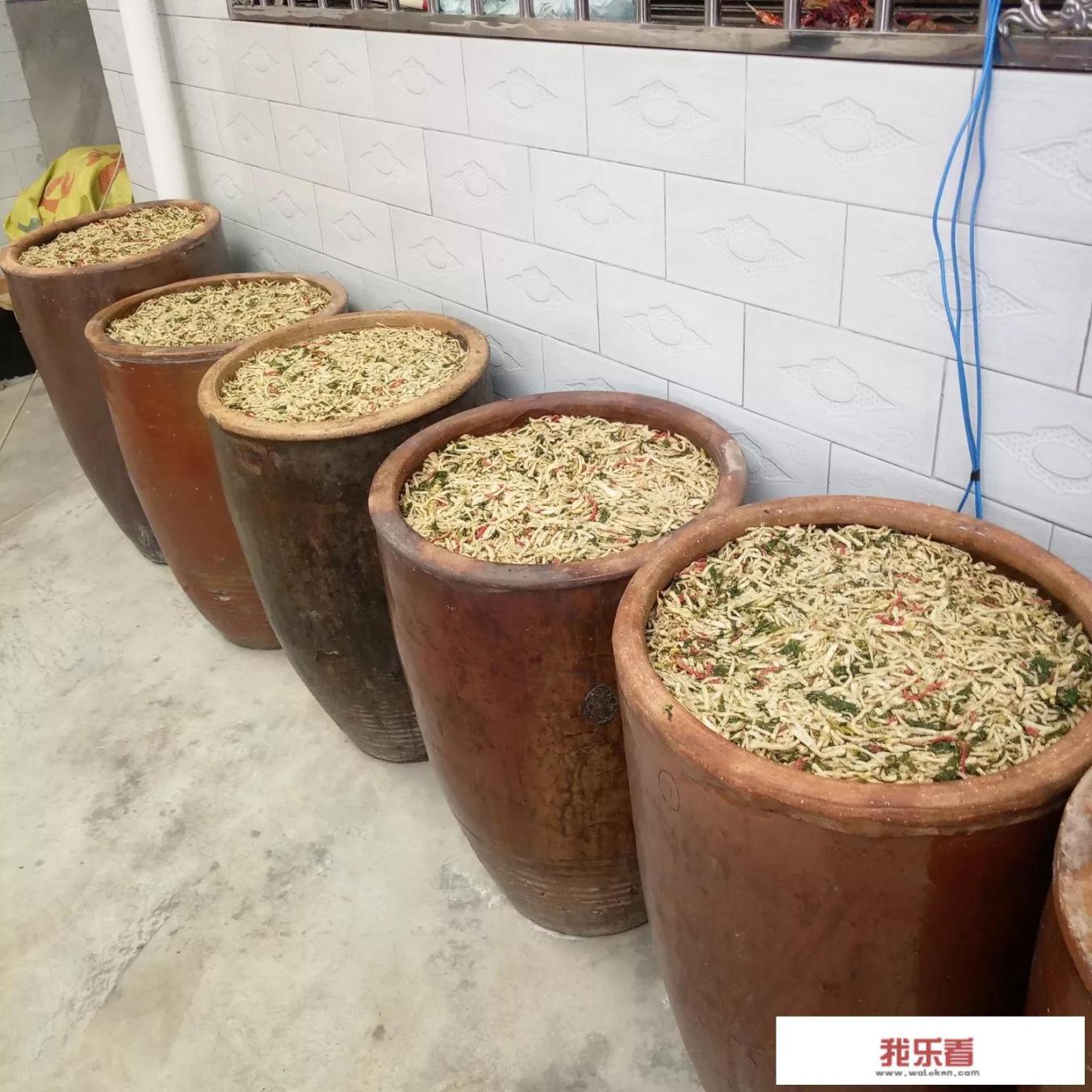 芥菜什么样子？
