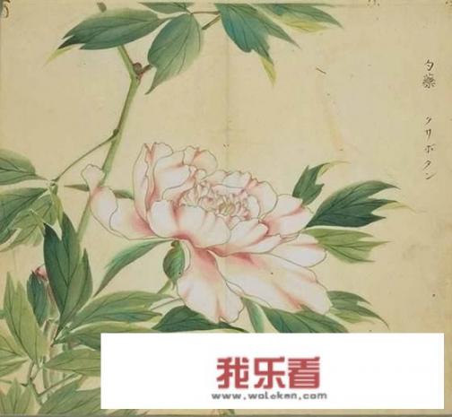 与中药有关的诗词？